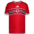 Camiseta Gales 2026 Local